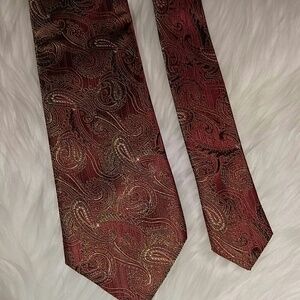 NWOT Beautiful Silk Paisley Tie 58"